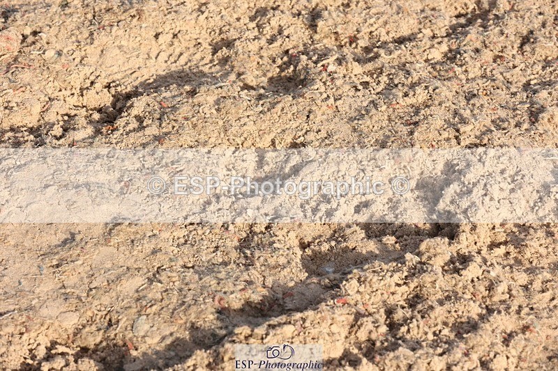 250629-190940-14115 - Cls 39-41 Children on Horses