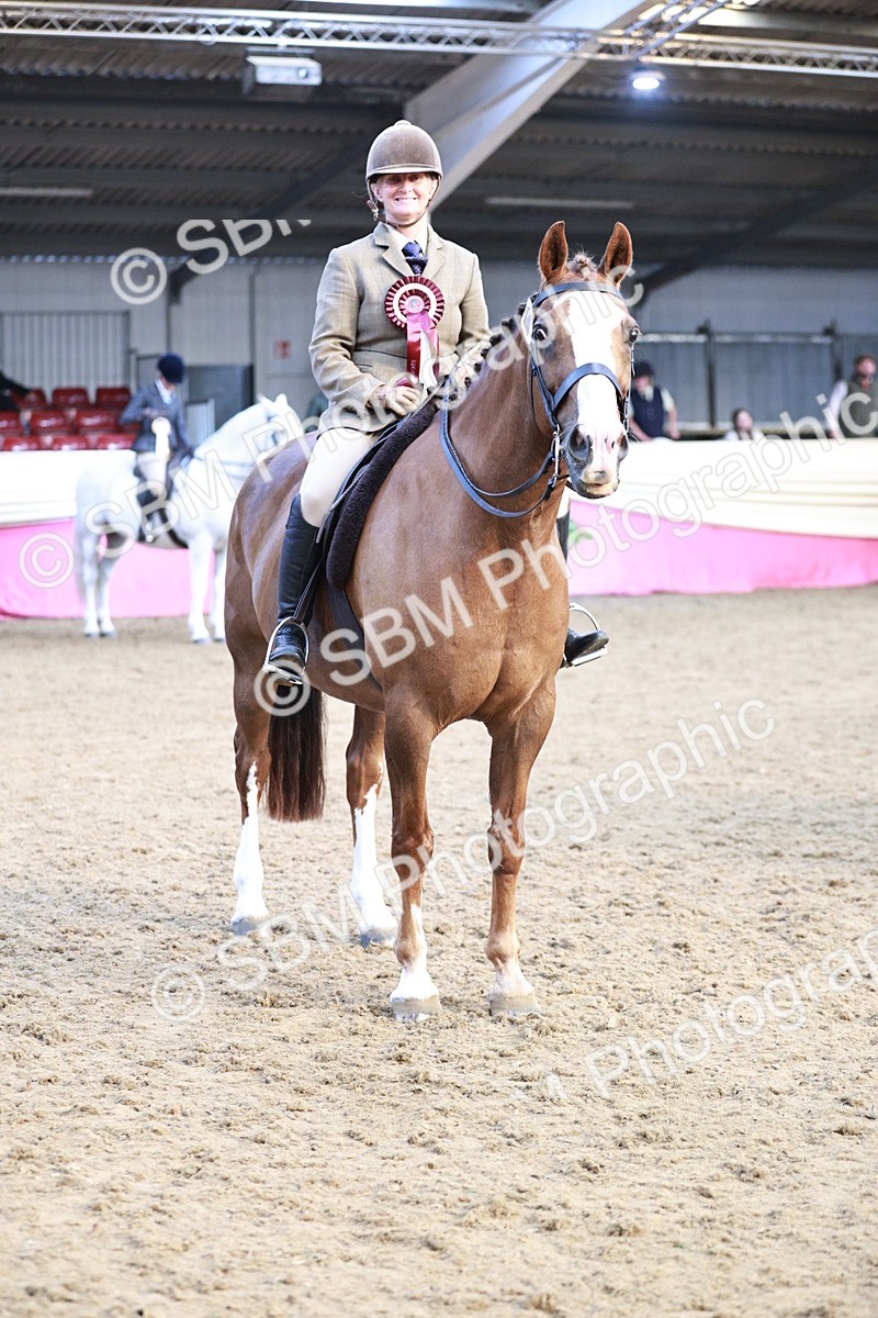 SBM_09134 - Class 12R - Regional Ridden Pre-Vet