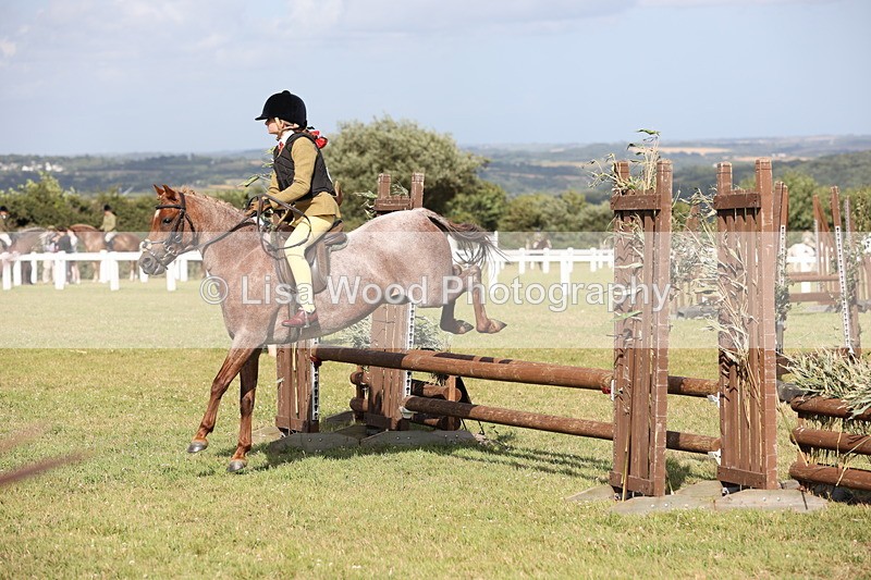 JPP_2825 - Class 20: Working Hunter 70cm