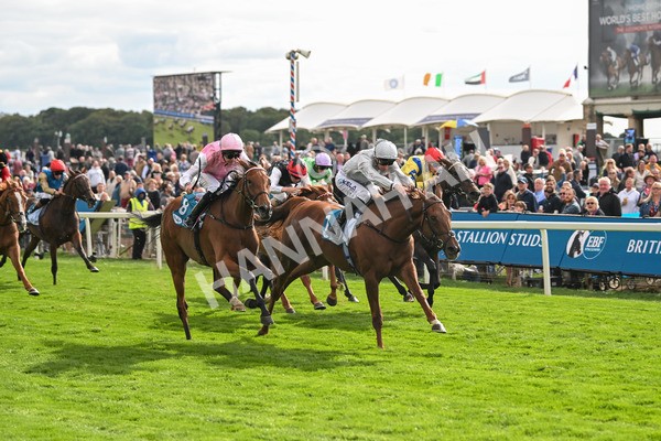 210825-Race 5-Charlottes Web-5044 - Race 5 4.10pm British EBF & Sir Henry Cecil Galtres Stakes
