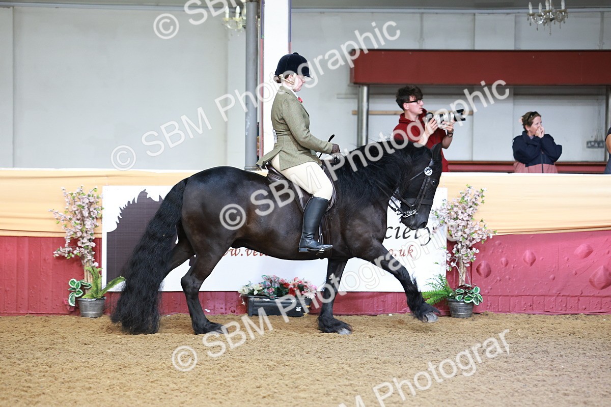 SBM_11823 - Class 102 - Equitation (Best Rider) Adult