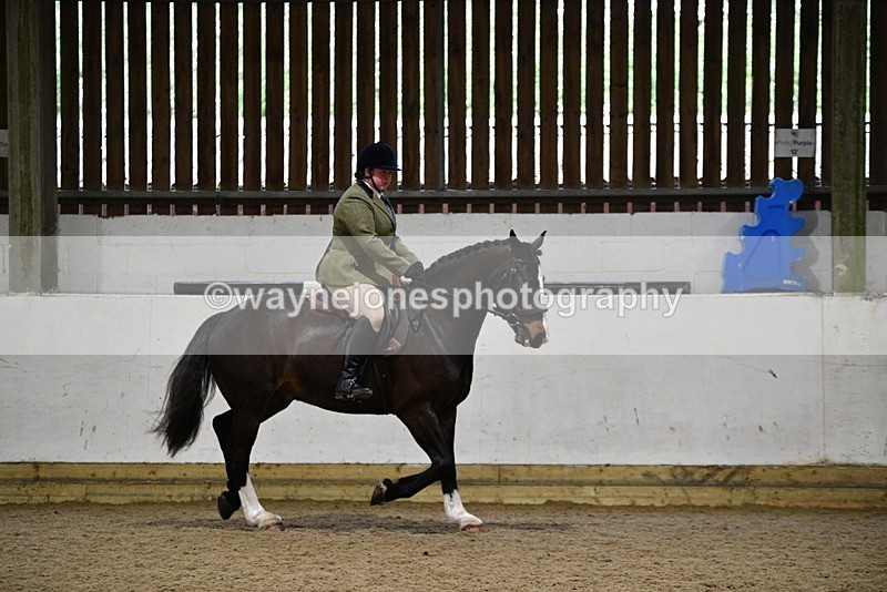 WJ5_8270 - Class 14 Novice Ridden/Rider