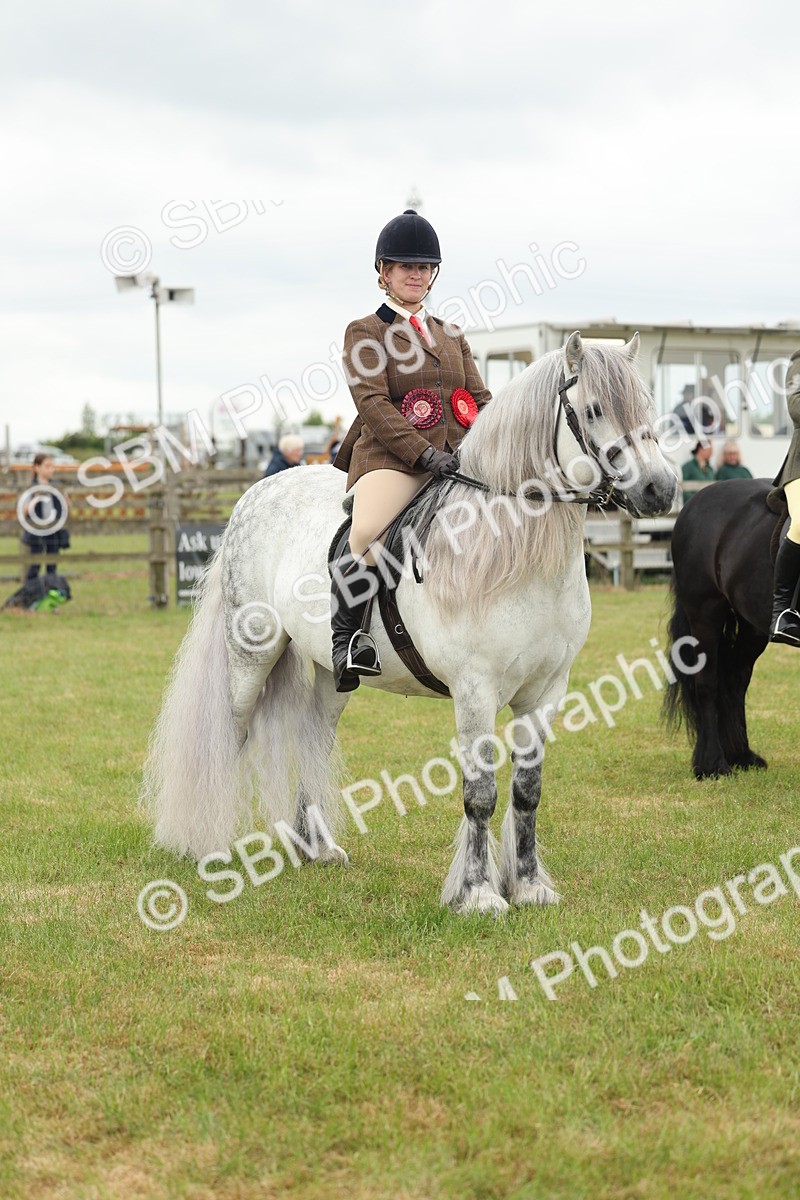 SBM_09033 - Class 78-80 - Ridden M&M Non Welsh Ponies
