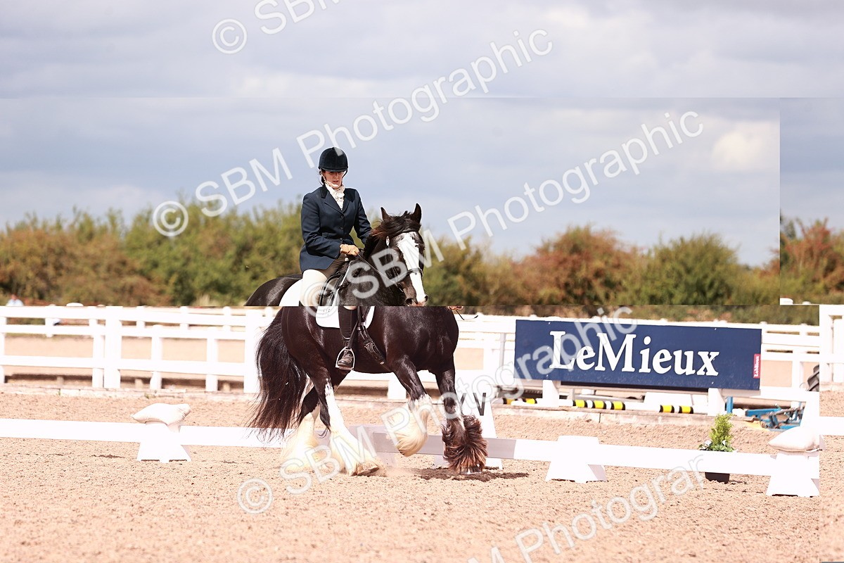 SBM_06200 - Class 37 - Novice 5