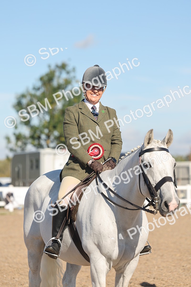 SBM_12244 - Class 303 - Ridden Pure Bred Horse Pony