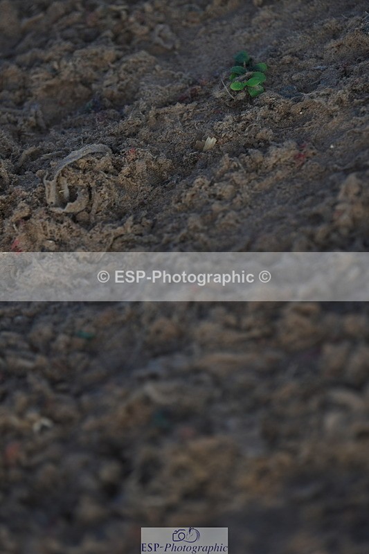 230915A-093712-00037 - Cls 8 85cm Amateur Qualifier