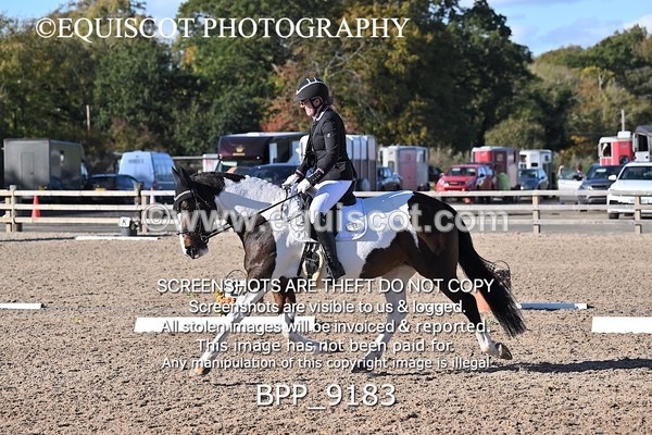BPP_9183 - LONG ARENA