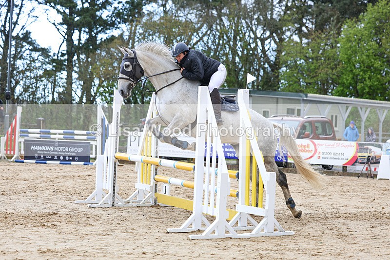 3E7A0611 - Class 4: Senior British Novice/90cm open