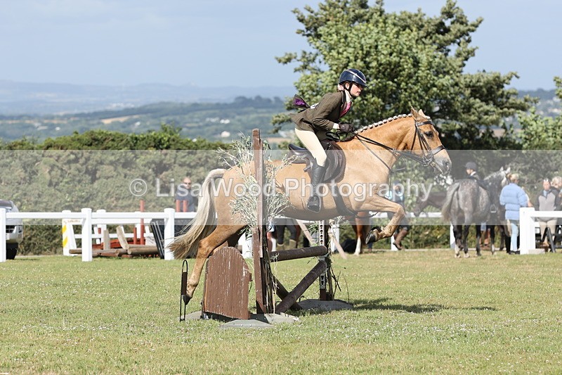 JPP_2702 - Class 20: Working Hunter 70cm