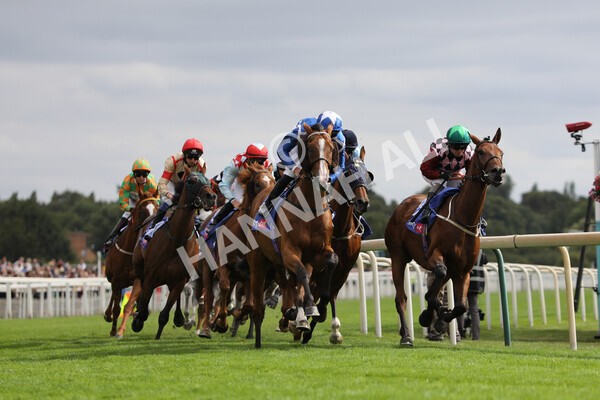 yr17082022r5-23 - Race 5 4.10pm Sky Bet Stayers Stakes