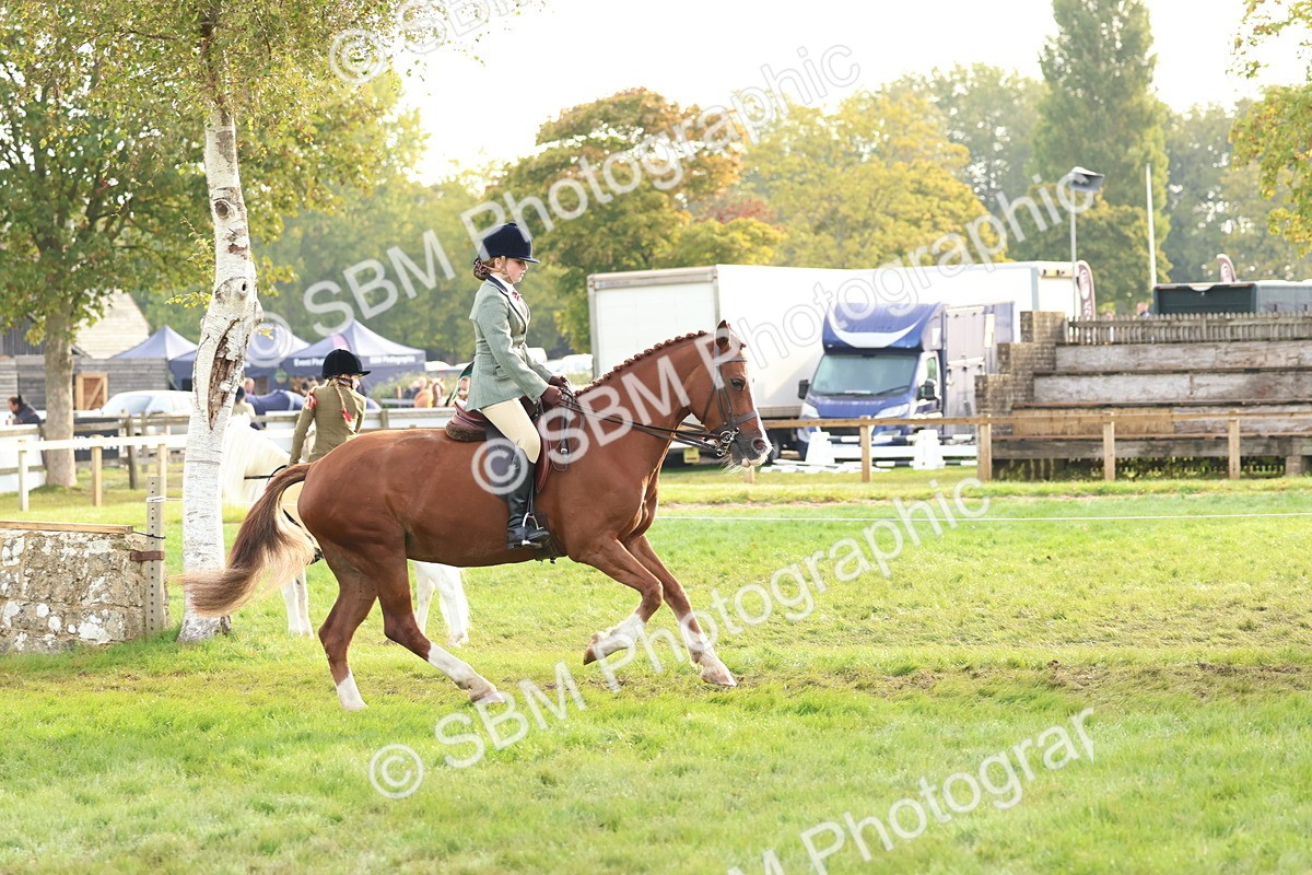 SBM_56589 - S40 - Starters Ridden Showing