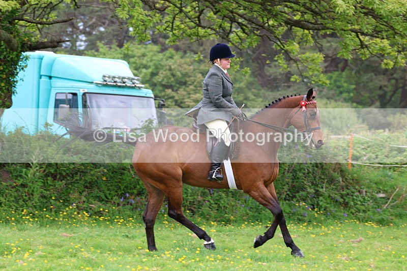 3E7A1769 - Class 9: Riding Club Horse/Pony