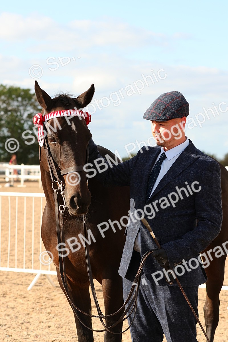 SBM_18392 - Class 318 - IH Part Bred Horse Pony