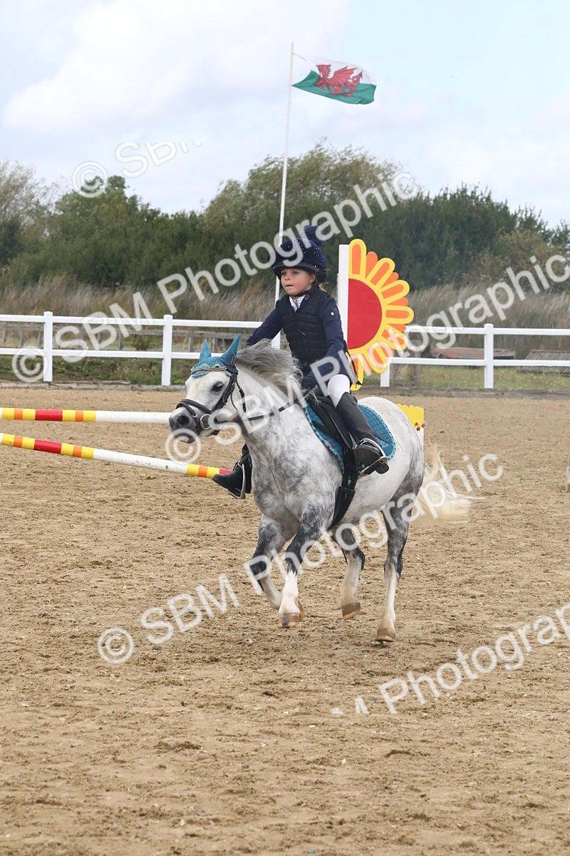 SBM_006102 - Class 6 - 60cm Champs