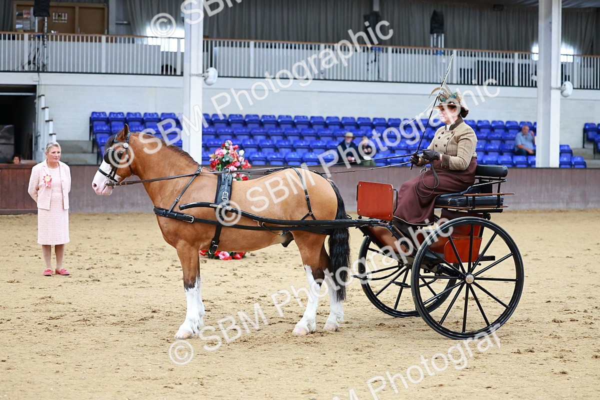SBM_000138 - Class 3 - Alison Thomas Memorial Lady Whip