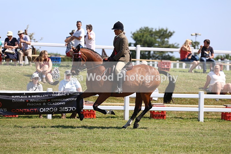 3E7A7571 - Rising Star Ridden Championship
