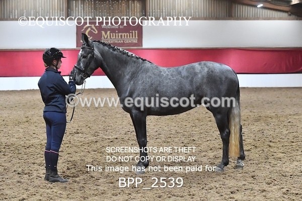 BPP_2539 - LOOSE JUMPING / SPSS