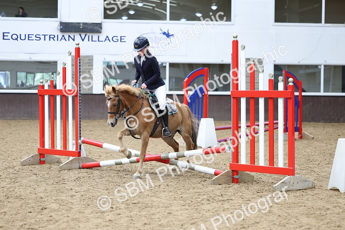 SBM_007282 - Class 2 - 50cm showjumping