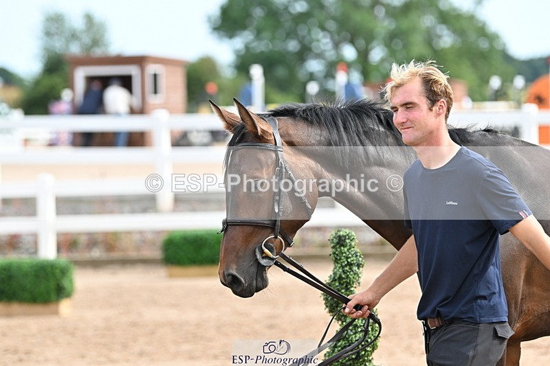 240717A-164531-03523 - Trot Up 4pm to 5pm