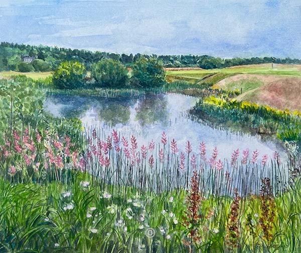 'Summer' - Paul Lawrie Golf Centre Devenick Course.