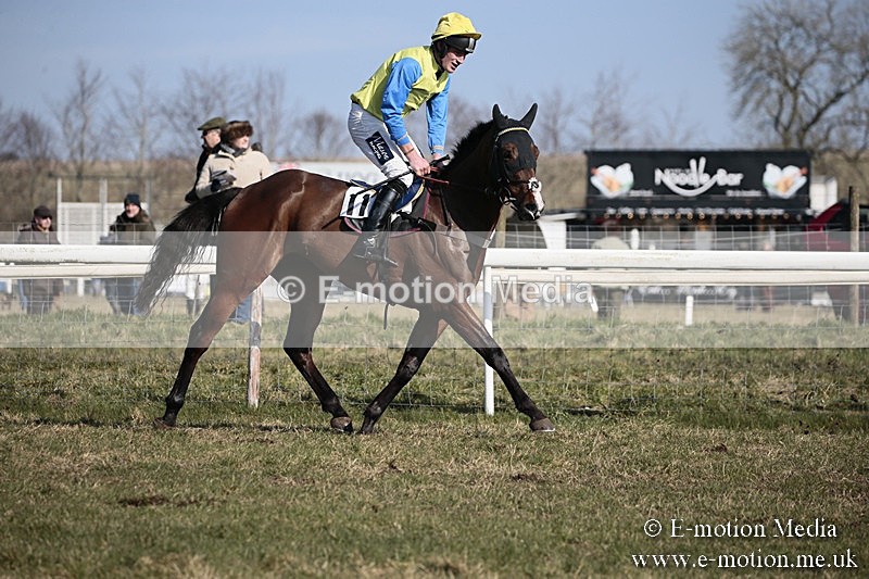 PtP 240218 184 - Vine & Craven Hunt Point-to-Point Barbury racecourse 24/02/18