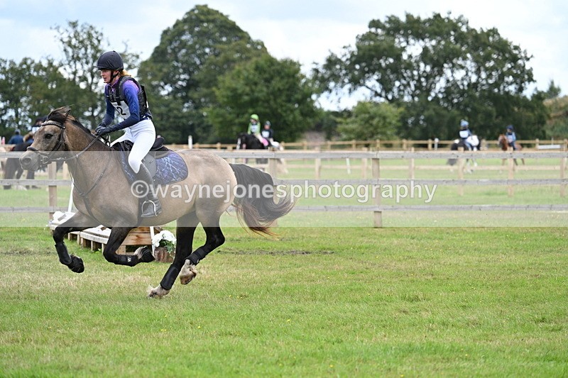WJ7_8612 - 60cm Time 12:11 to 12:30