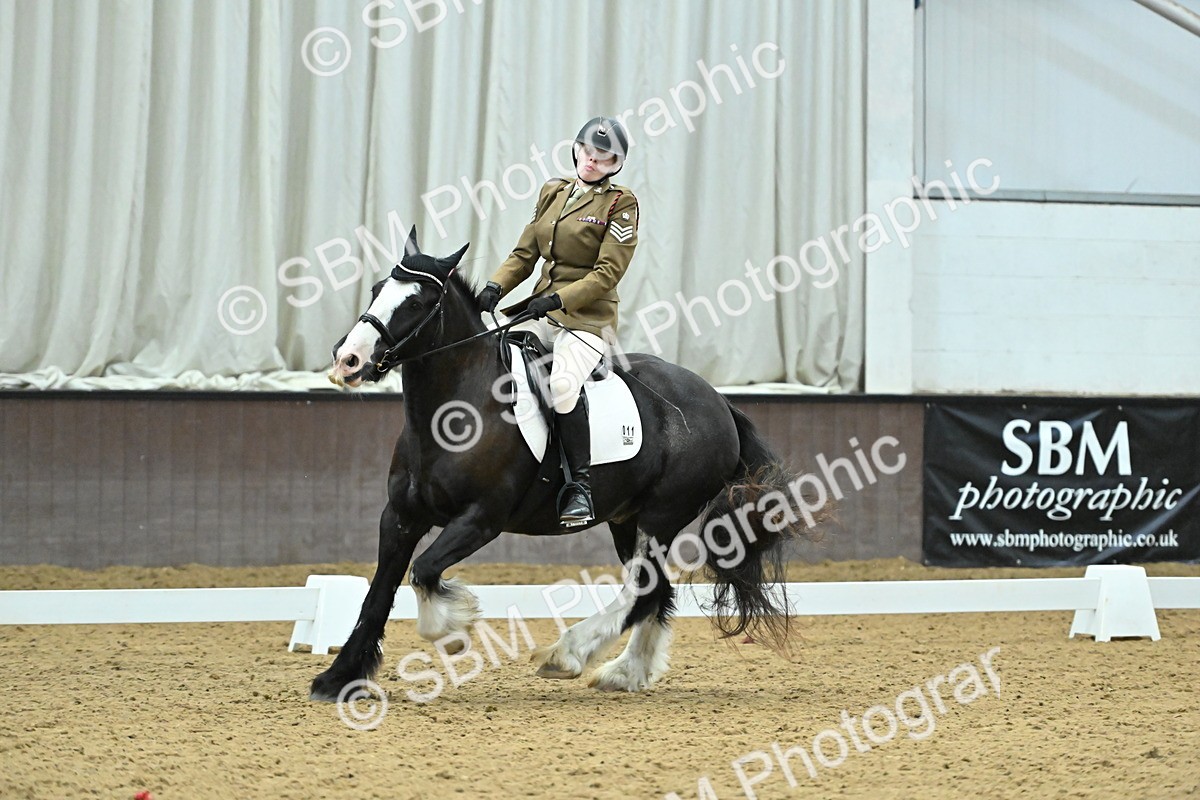 SBM_007468 - Class 81 - Novice 3