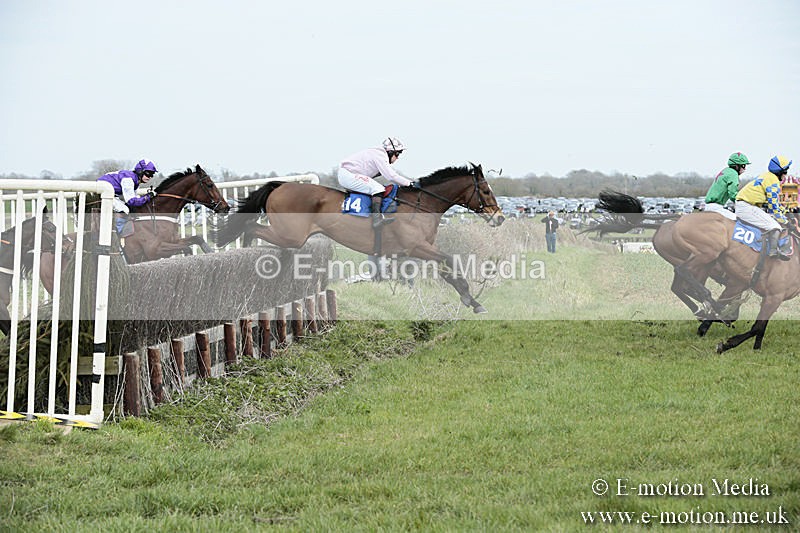 PtP 230319 187 - VWH Hunt Siddington Point-to-Point Racing 23/03/19