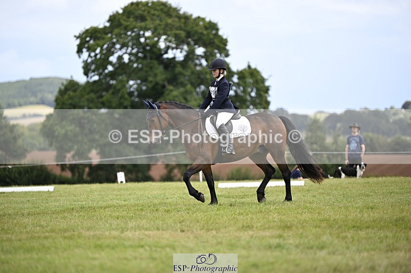 240824X-132349-26771 - D80 Section E and F 12.00 to 13.20