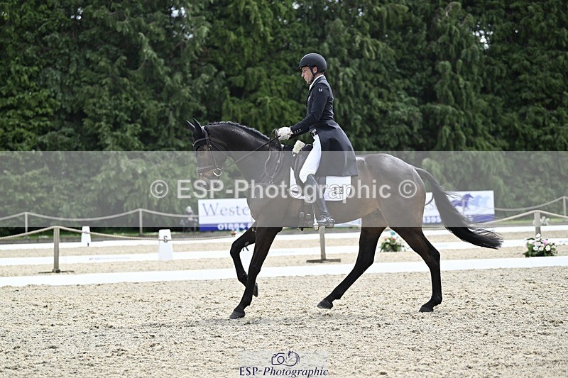 000101-190430-03848 - 426-VISCOUNT_VIKTOR-Tim_Price