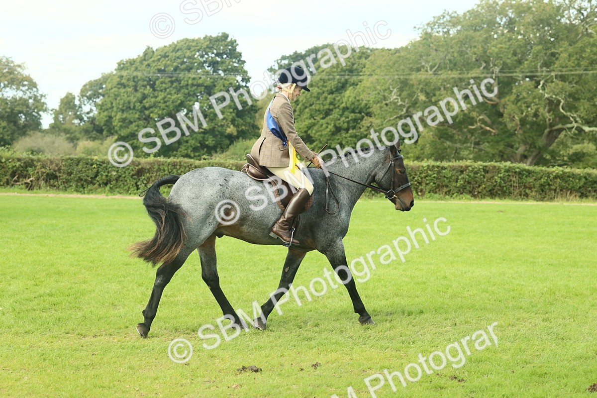 SBM_62712 - S63 - Other Coloured Horse Ridden