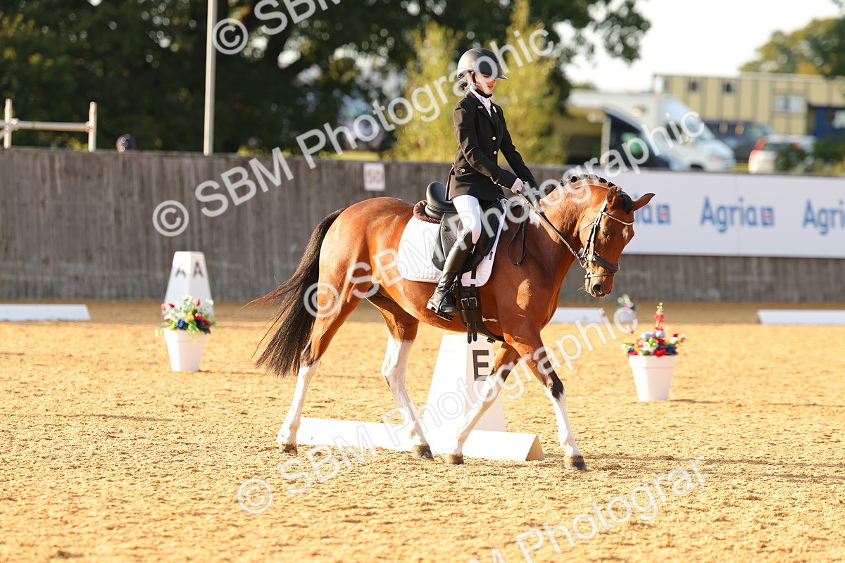 SBM_54484 - D12 - Small Tour Championship - Prelim 18