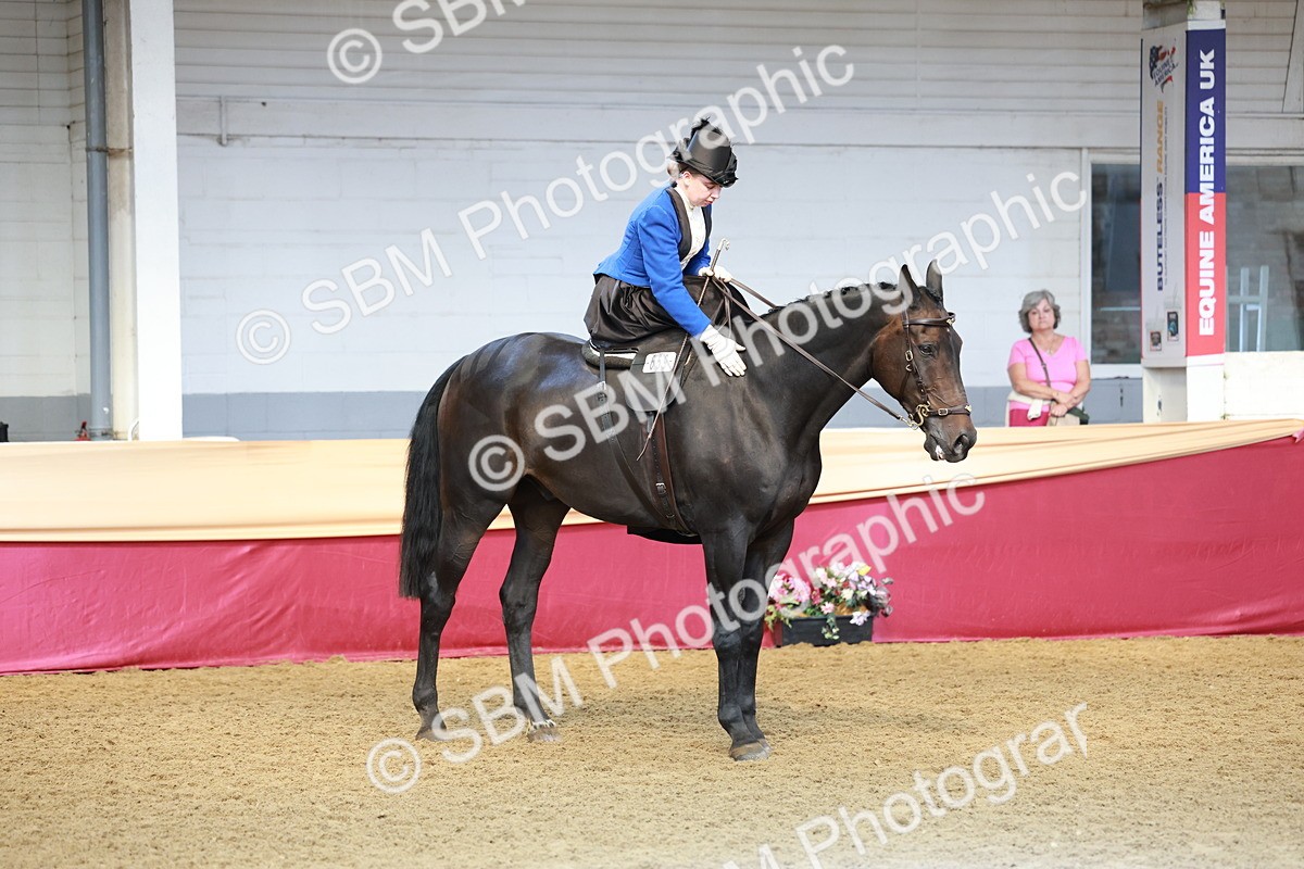 SBM_13602 - Class 105 - Ridden Costume - Side Saddle
