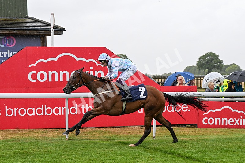 150725-Race 2-Pearl Fortune-0198 - Race 2