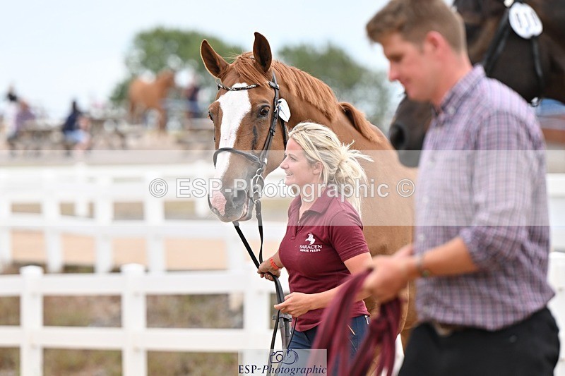 250716-160321-02374 - Trot Up 3.30 to 4.30