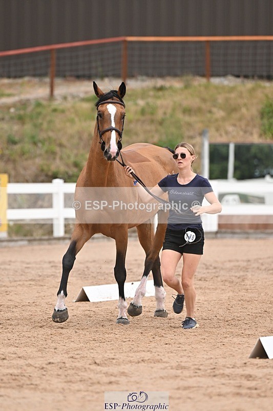 250716-155958-02318 - Trot Up 3.30 to 4.30