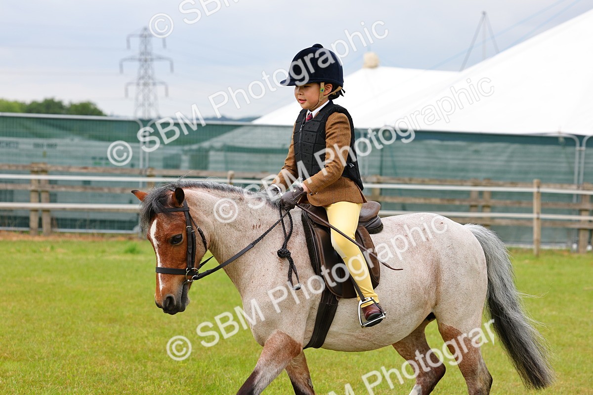 SBM_08588 - Class 42-43 - LIHS BSPS Heritage Working Sports Pony