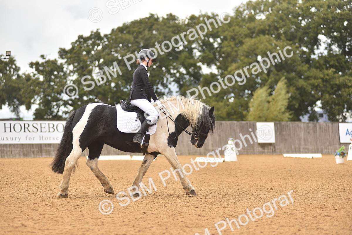 SBM_42543 - D22 - Junior Championship Intro 3