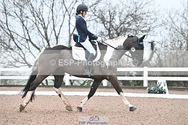 250215-094737-02875 - 248-Alys.Matravers-Tiger.Mazariti