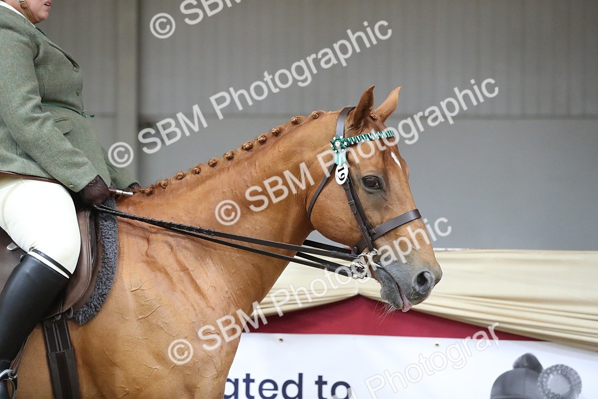 SBM_12293 - Class 108 Ridden Retired Racehorse- Pre Judging