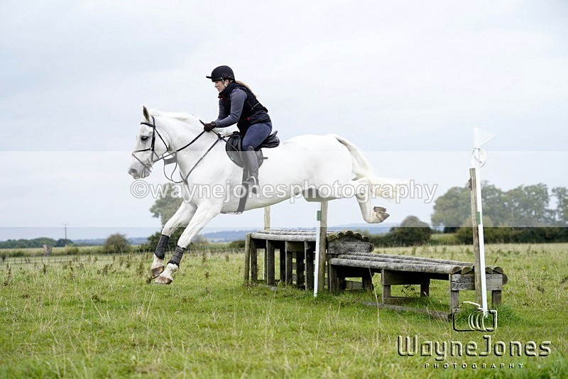 _DSC6449 - Edited examples