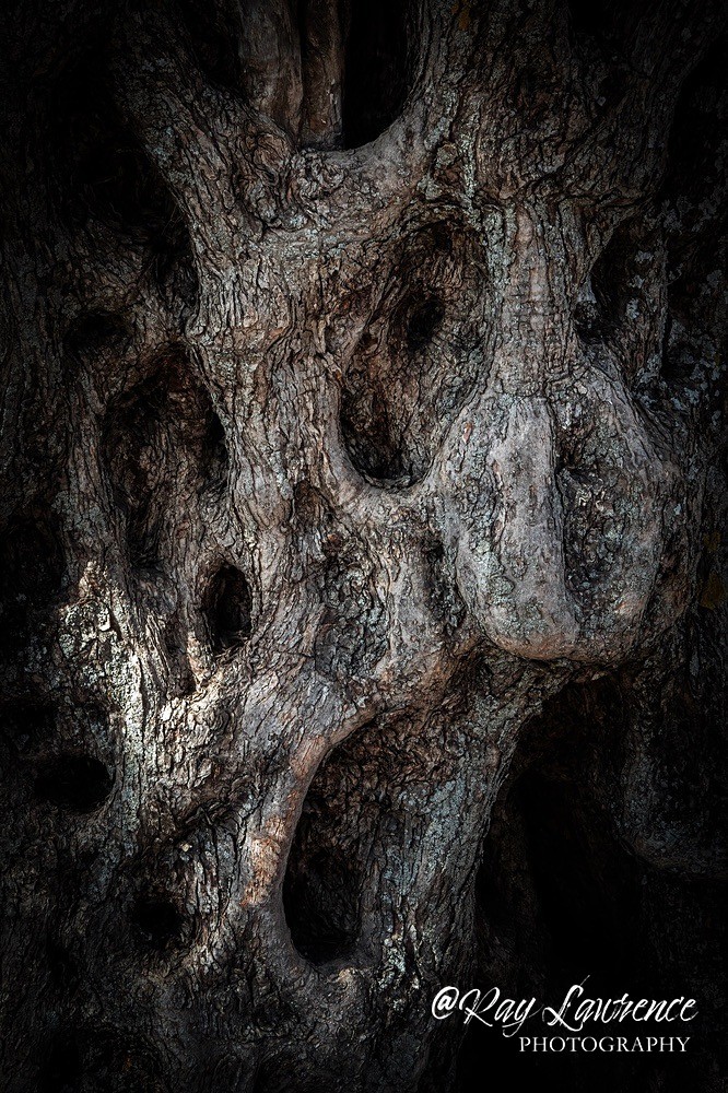 Scream_RLP408274 - Creative - Fine Art