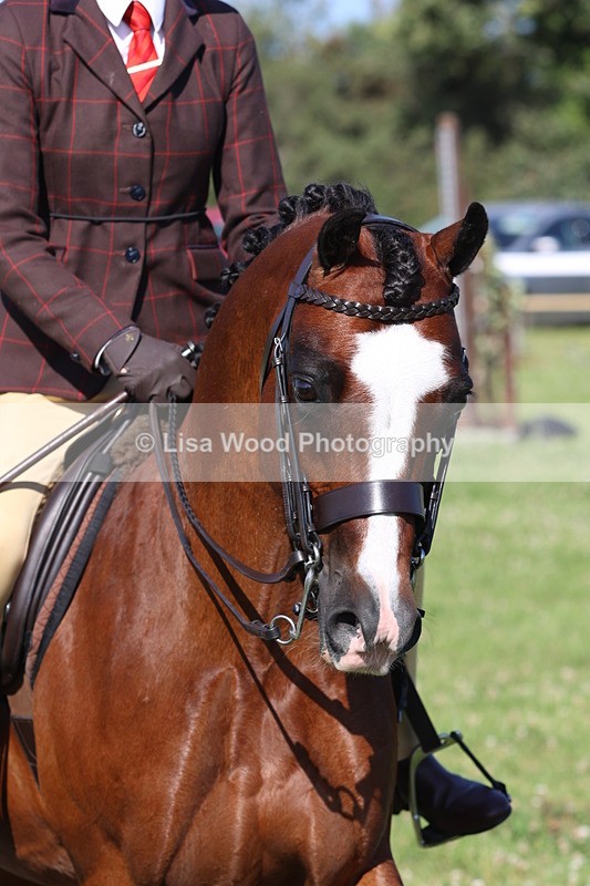 JPP_1441 - Class 18: Cornish Combination Young Rider