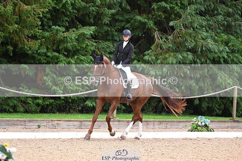 240809-121947-00744 - 185-Daisy.Hedges-Felicia.v