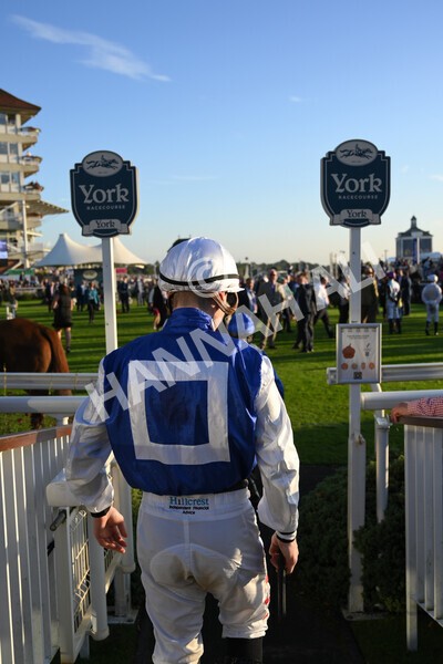 yr08102021r7-2 - Race 7 5.25pm The IRE Incentive, It Pays To Buy Irish Handicap