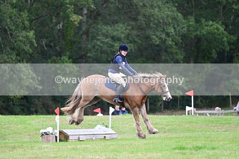 WJ7_7732 - 40cm Time 10:49 to 11:18