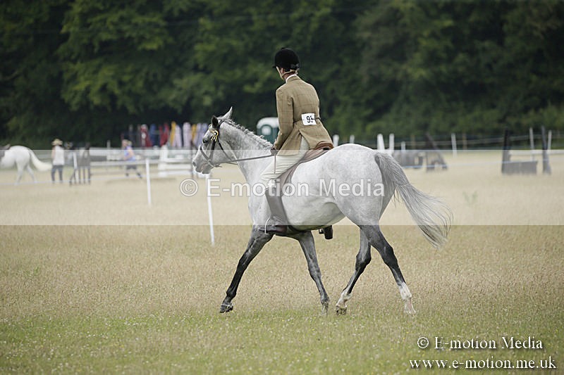 B230619-0894 - Bourne Valley Riding Club Summer Show 23/06/19