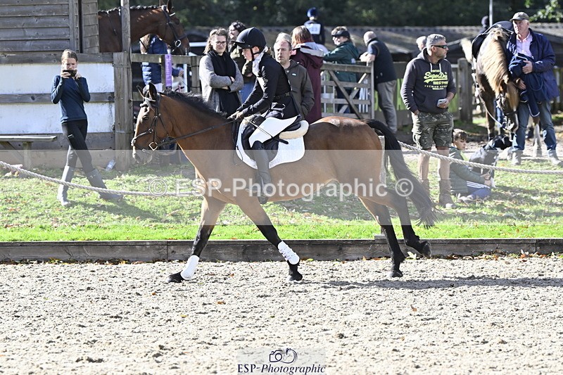 251005A-141849-04358 - Cls 09 Nov 80-85cm