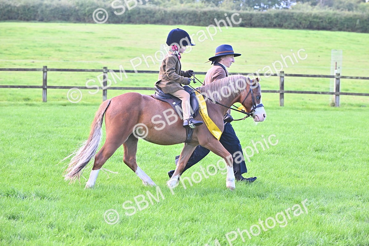 SBM_36536 - S18 - Novice & Newcomer Lead Rein Pony