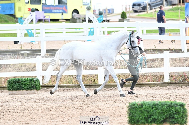 240717A-143940-02173 - Trot Up 2pm to 3pm - This folder is not in time order